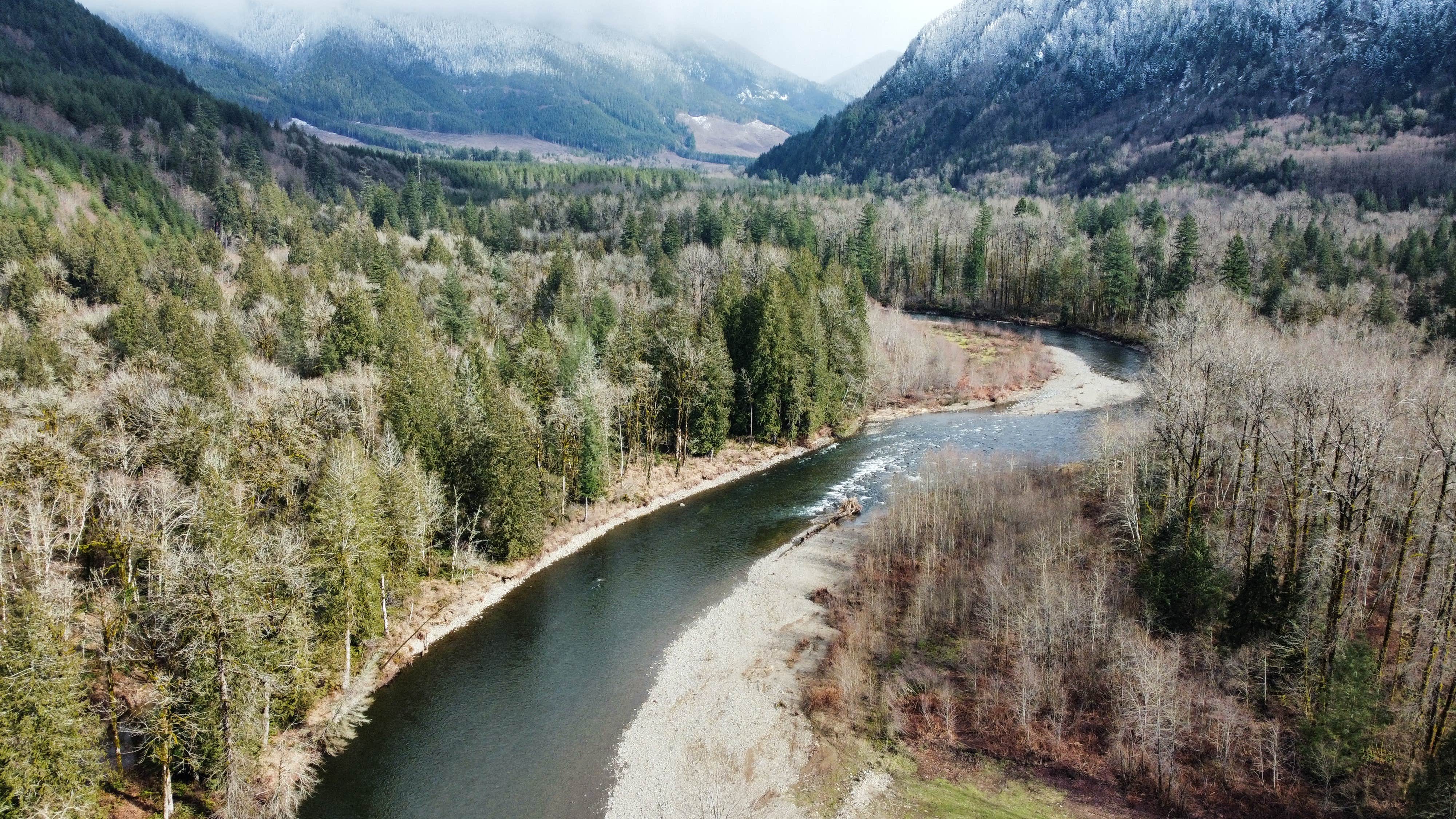 Camping near Thousand Trails Paradise: River Camping, Morton, Washington