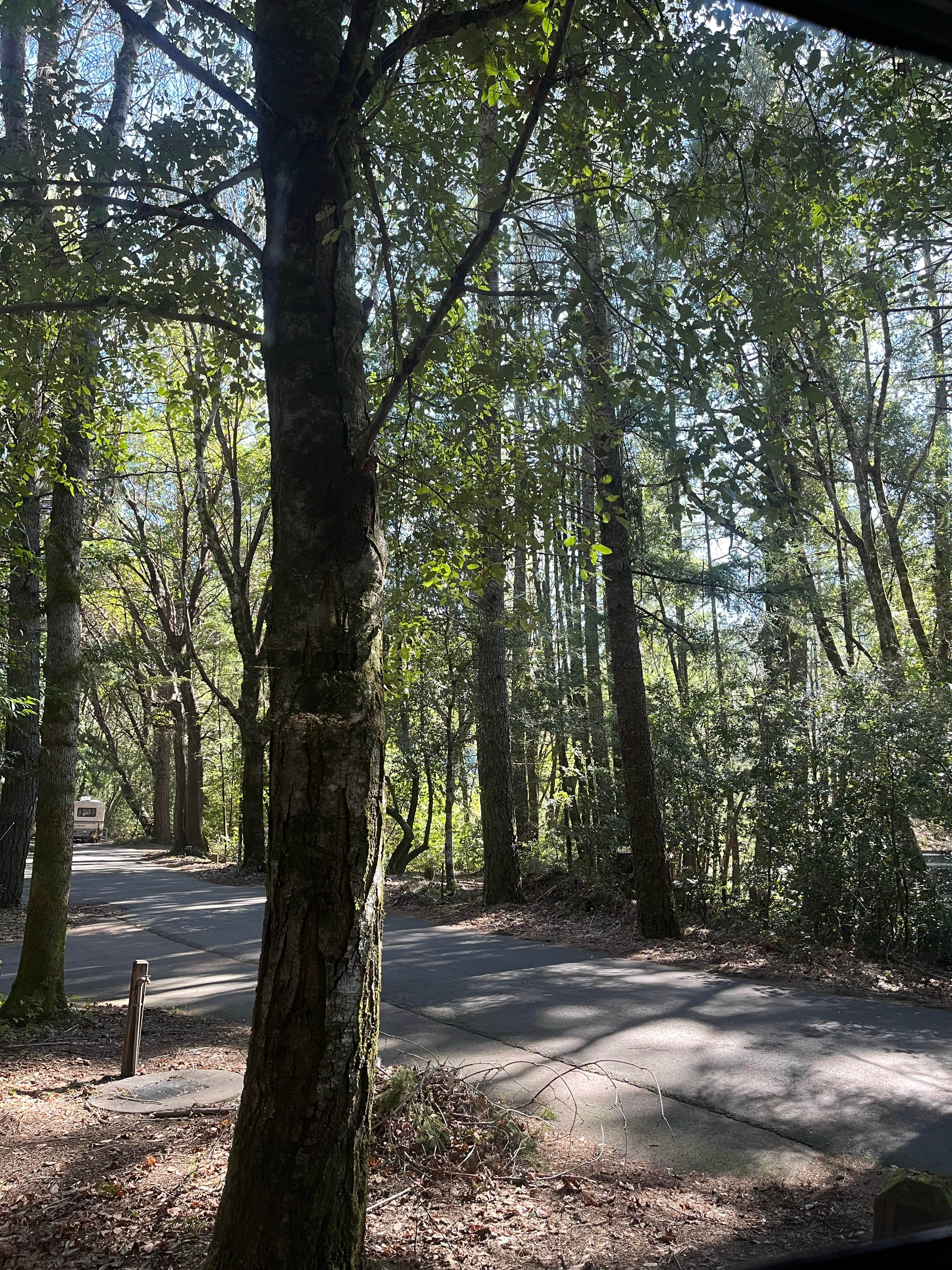 Camper-submitted photo at Redwood Campground — Standish-Hickey State Recreation Area near Covelo, CA