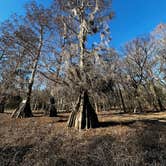 Review photo of Lake Bistineau State Park Campground by Kat E., February 22, 2022