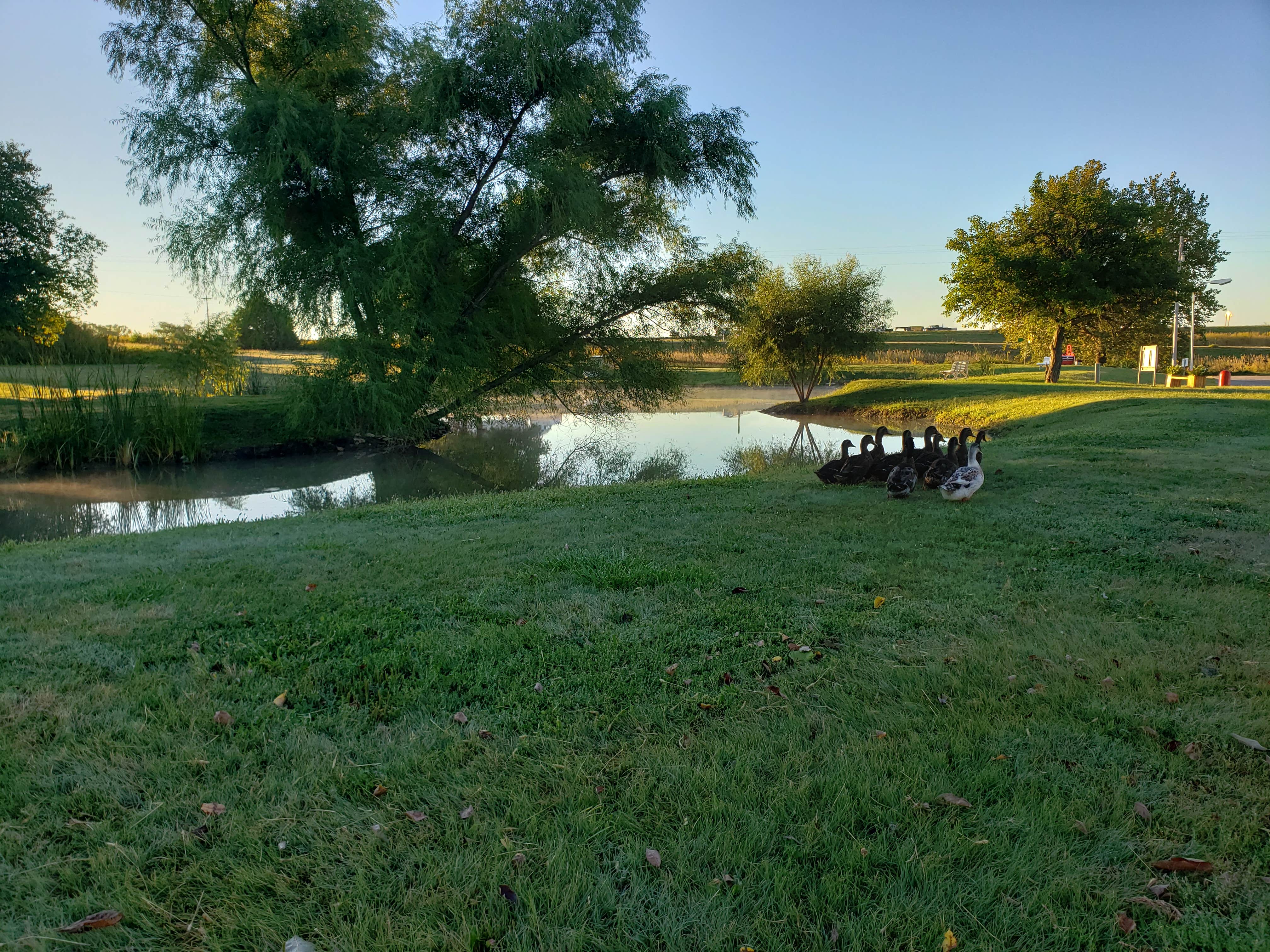 Camper submitted image from Walt's Four Seasons Campground & Country Store - 1