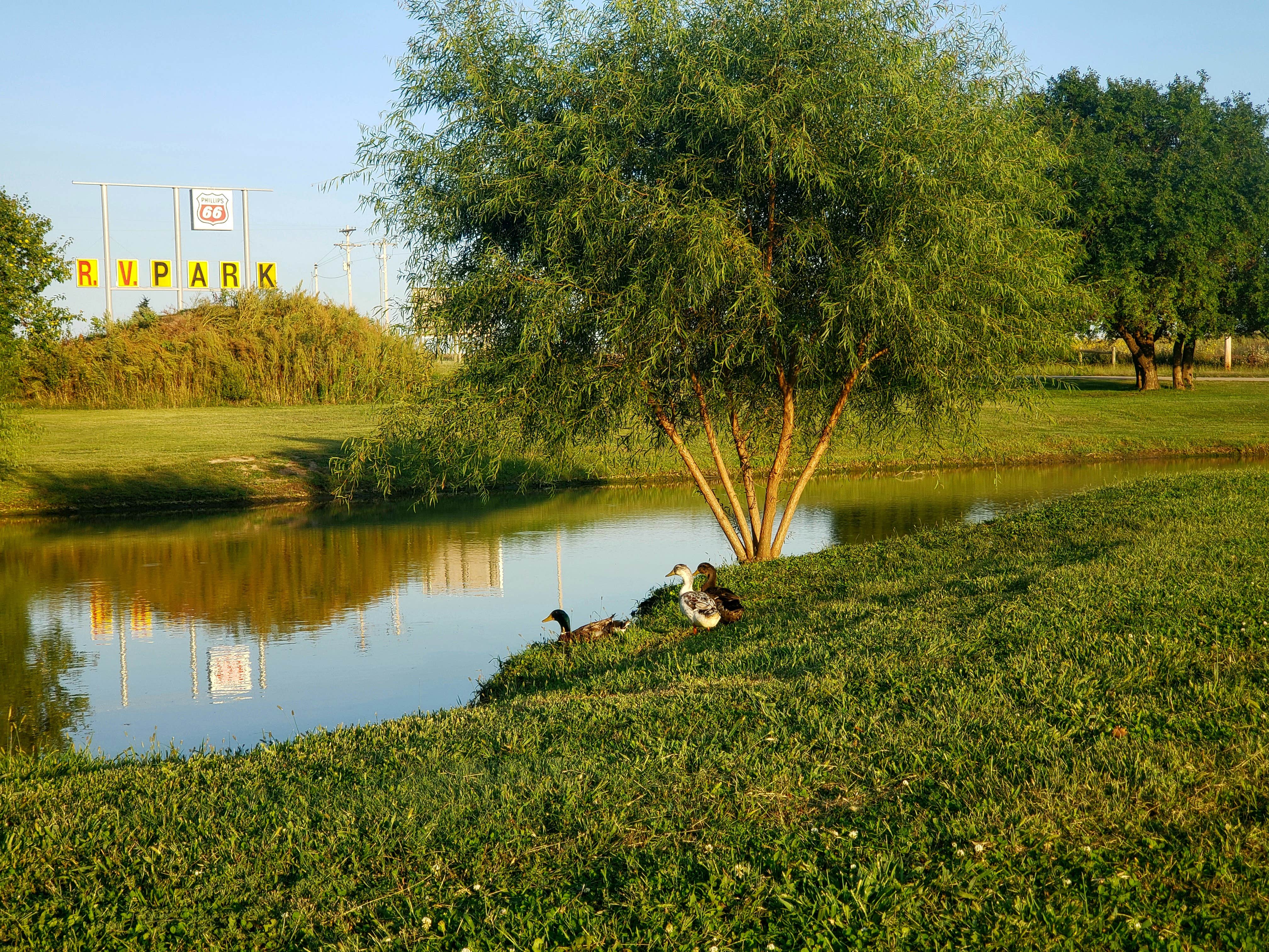 Camper-submitted photo at Walt's Four Seasons Campground & Country Store near Minneapolis, KS