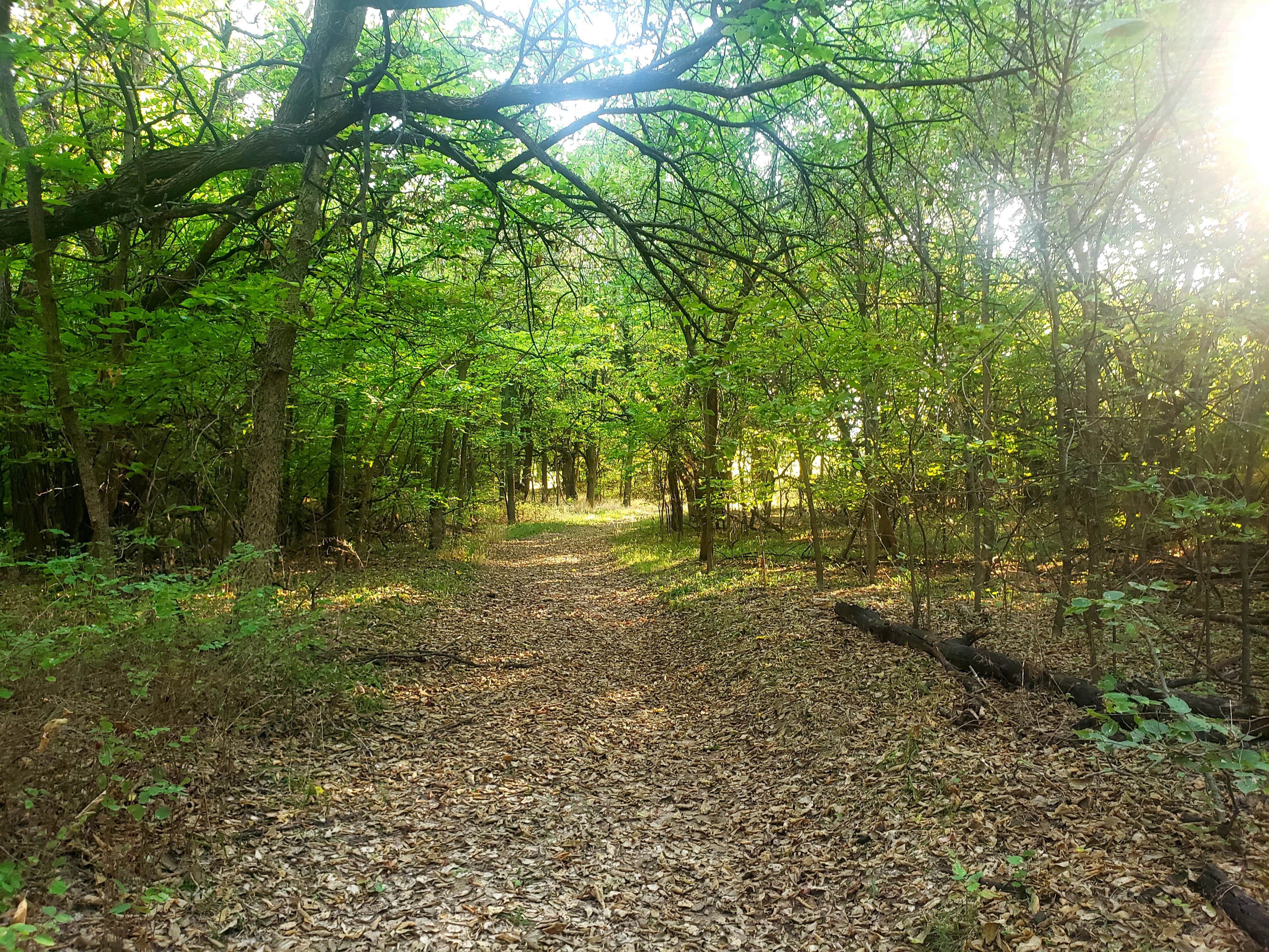 Camper-submitted photo at Walt's Four Seasons Campground & Country Store near Gypsum, KS
