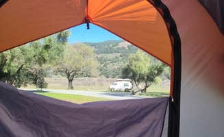 Toni R.'s photo at Coyote Lake Harvey Bear Ranch County Park near San Juan Bautista, CA