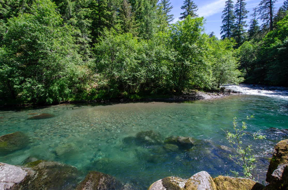 Breitenbush Campground | The Dyrt