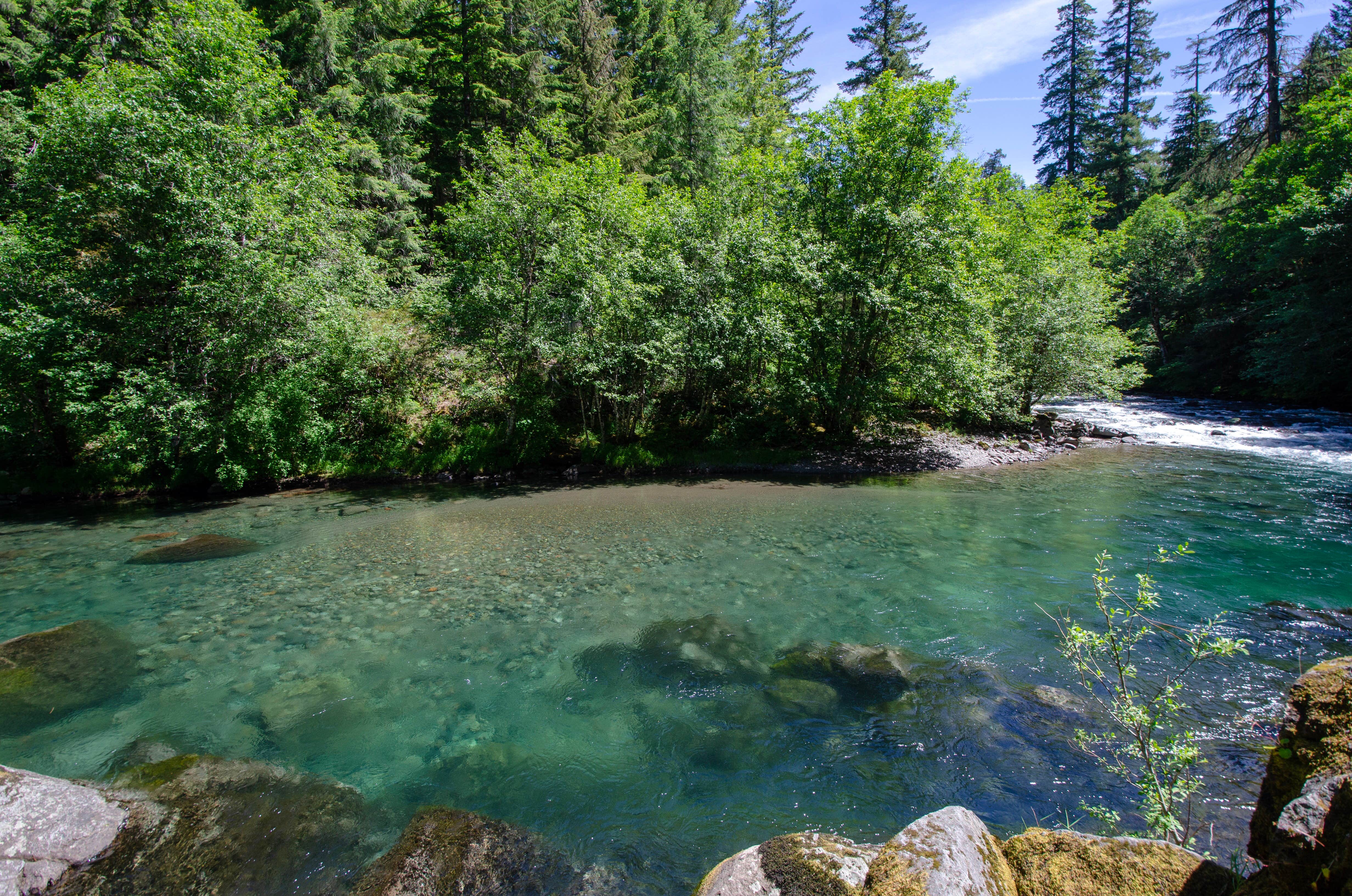 Nature