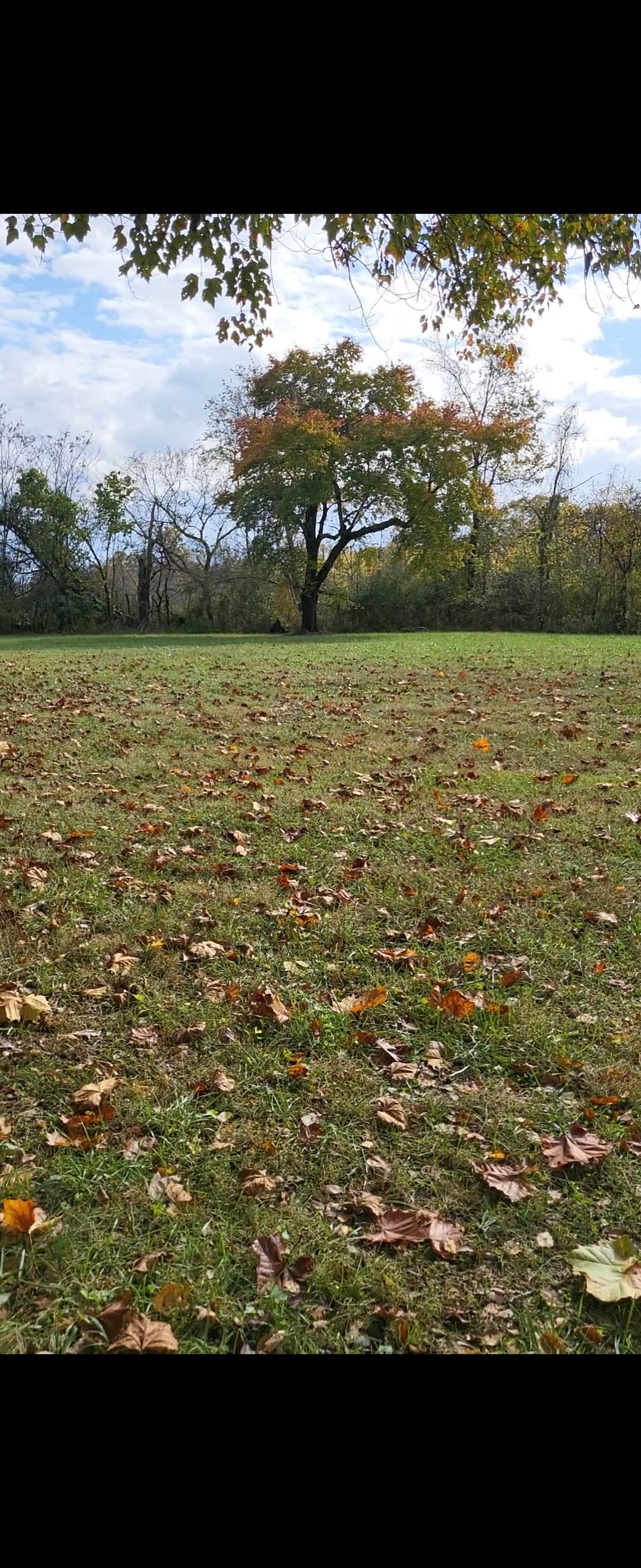 Camper-submitted photo at James River Wildlife Management Area - Dispersed Camping near Prospect, VA