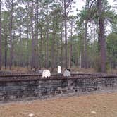 Review photo of Suwannee River State Park Campground by Rachel G., February 23, 2022