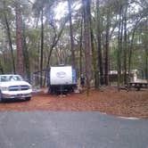 Review photo of Suwannee River State Park Campground by Rachel G., February 23, 2022