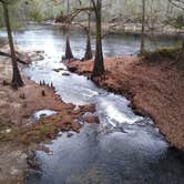 Review photo of Suwannee River State Park Campground by Rachel G., February 23, 2022