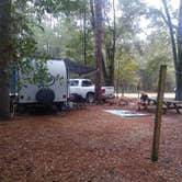 Review photo of Suwannee River State Park Campground by Rachel G., February 23, 2022