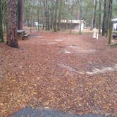 Review photo of Suwannee River State Park Campground by Rachel G., February 23, 2022