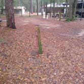 Review photo of Suwannee River State Park Campground by Rachel G., February 23, 2022