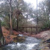 Review photo of Suwannee River State Park Campground by Rachel G., February 23, 2022