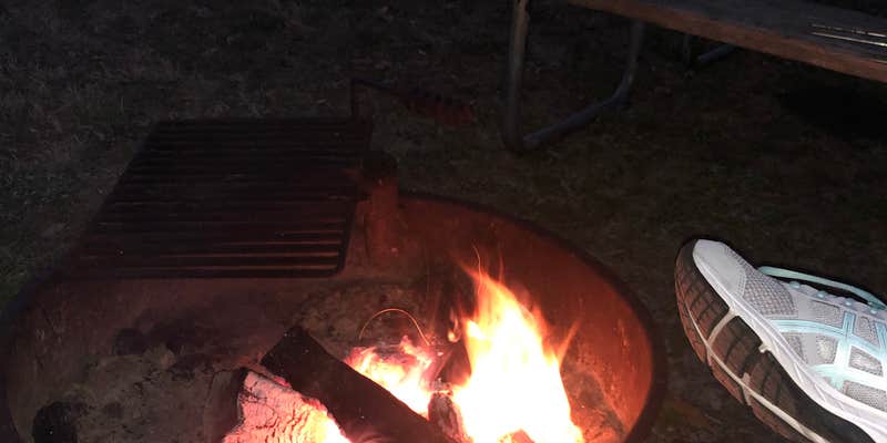 Camper submitted image from River Bottom Farms Family Campground