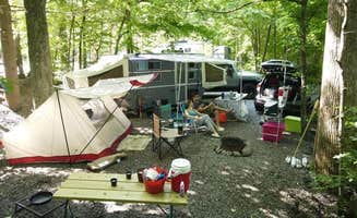Krissy M.'s photo at Smoky Bear Campground near Cosby, TN