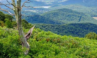 Camping near Mathews Arm Campground — Shenandoah National Park: Shenandoah River Outfitters Camp Outback, Rileyville, Virginia