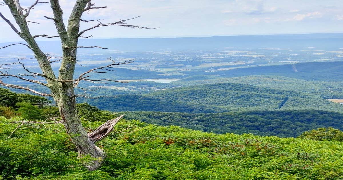 Shenandoah River Outfitters Camp Outback