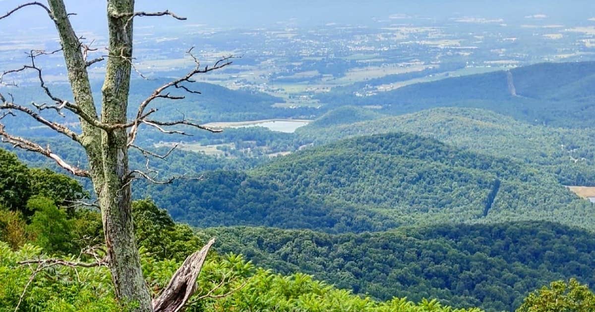 Shenandoah River Outfitters Camp Outback