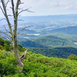 View from Skyline Drive