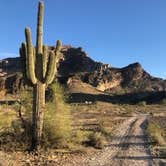 Review photo of Saddle Mountain BLM (Tonopah, AZ) by David N., February 23, 2022