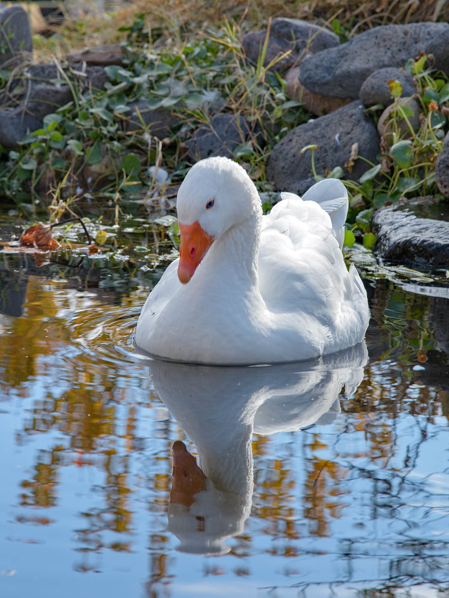 Camper-submitted photo at Behr Art B&B near Gila National Forest