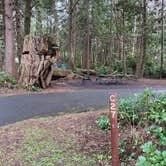 Review photo of Cape Lookout State Park Campground by Julie T., February 24, 2022