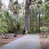 Review photo of Cape Lookout State Park Campground by Julie T., February 24, 2022