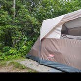 Review photo of Mt Pisgah Campground — Blue Ridge Parkway by Dwain T., February 24, 2022