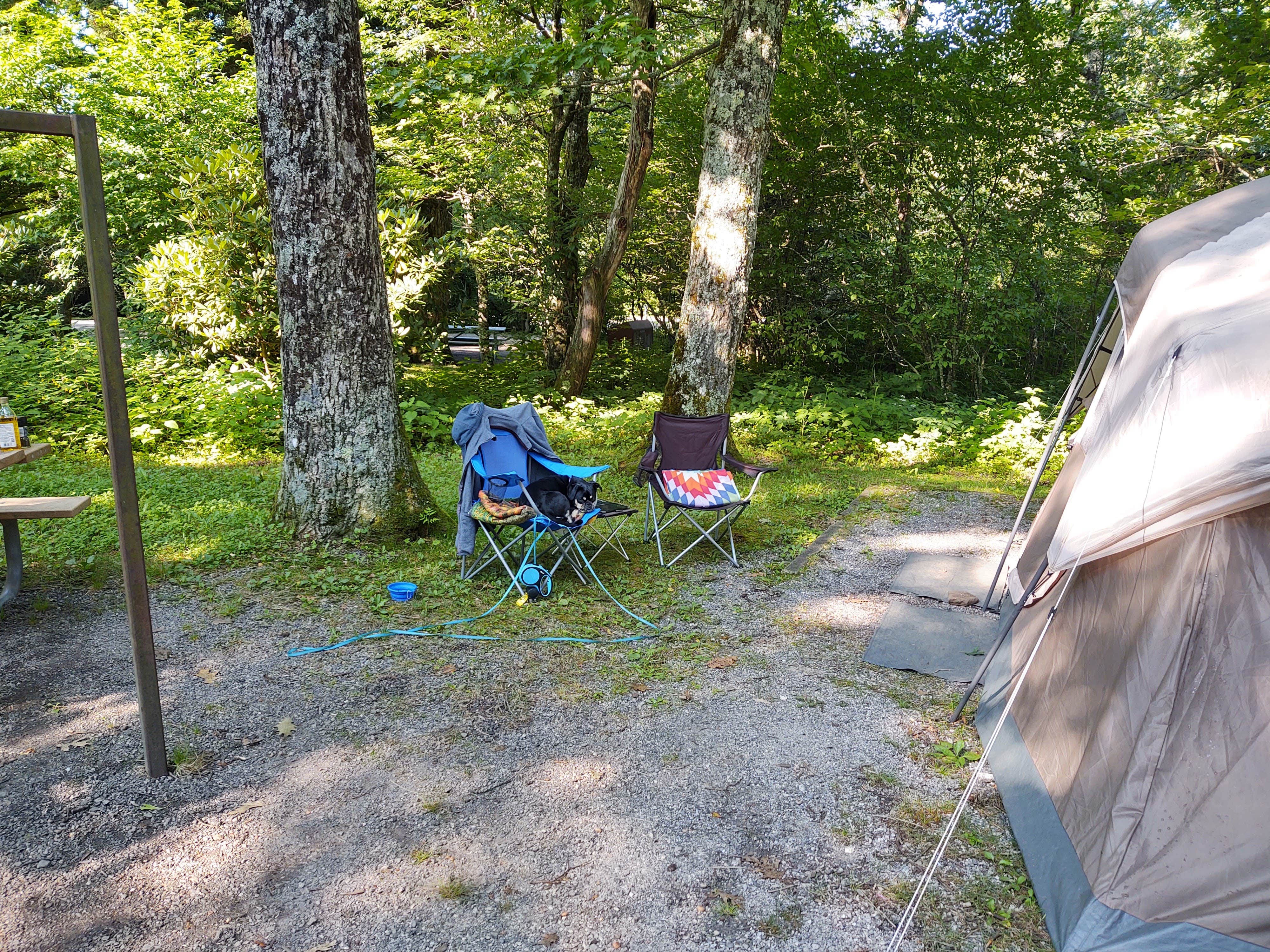Camper-submitted photo at Mt Pisgah Campground — Blue Ridge Parkway near Mills River, NC