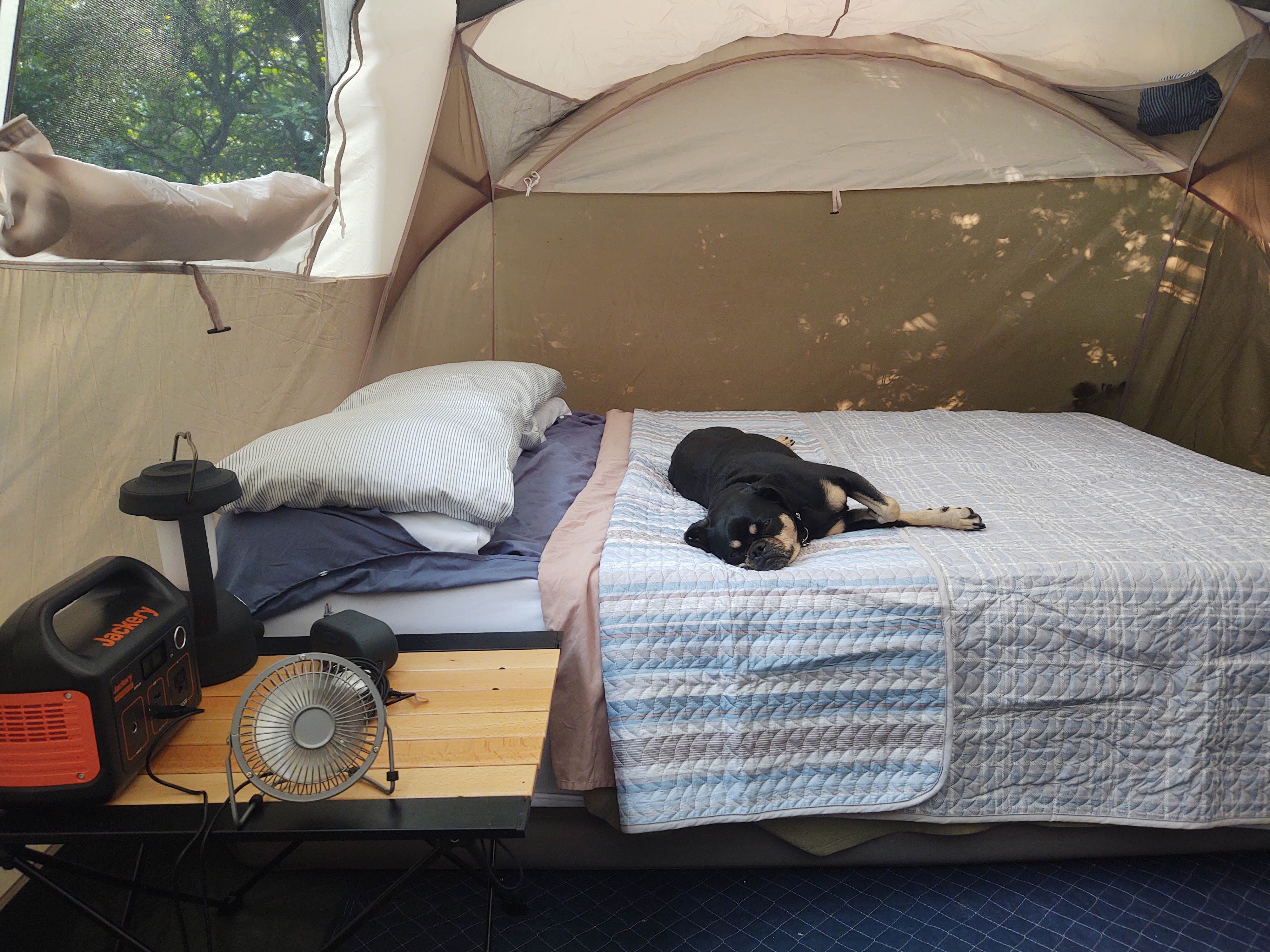 Dwain T.'s photo of camping with pets at Mt Pisgah Campground — Blue Ridge Parkway near Brevard, NC