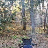 Review photo of Davidson River Campground by Dwain T., February 24, 2022