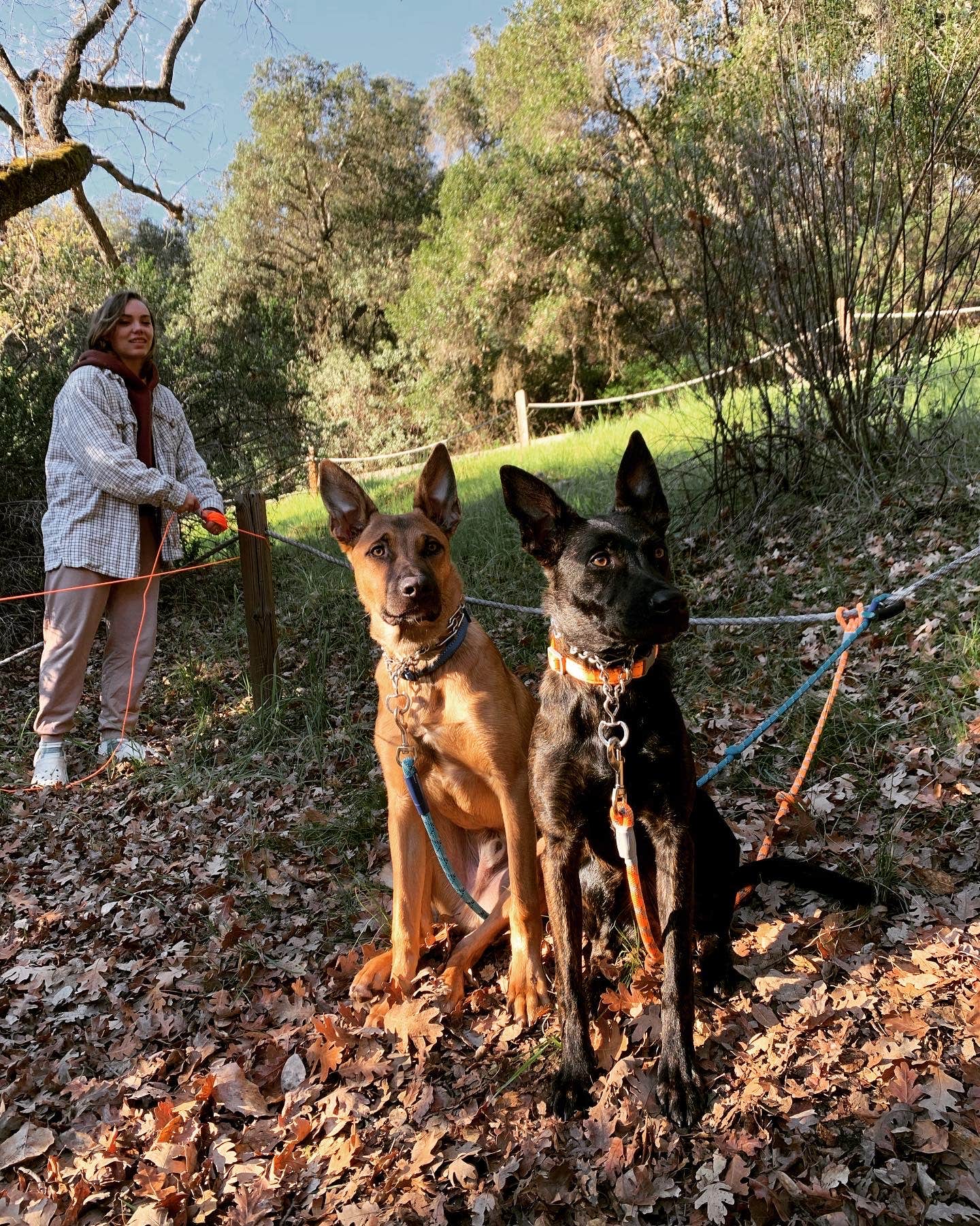 Katie B.'s photo of camping with pets at Arroyo Seco near Big Sur, CA