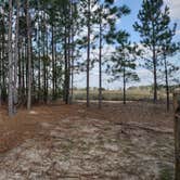 Review photo of Camp South RV Park by Illya A., February 24, 2022