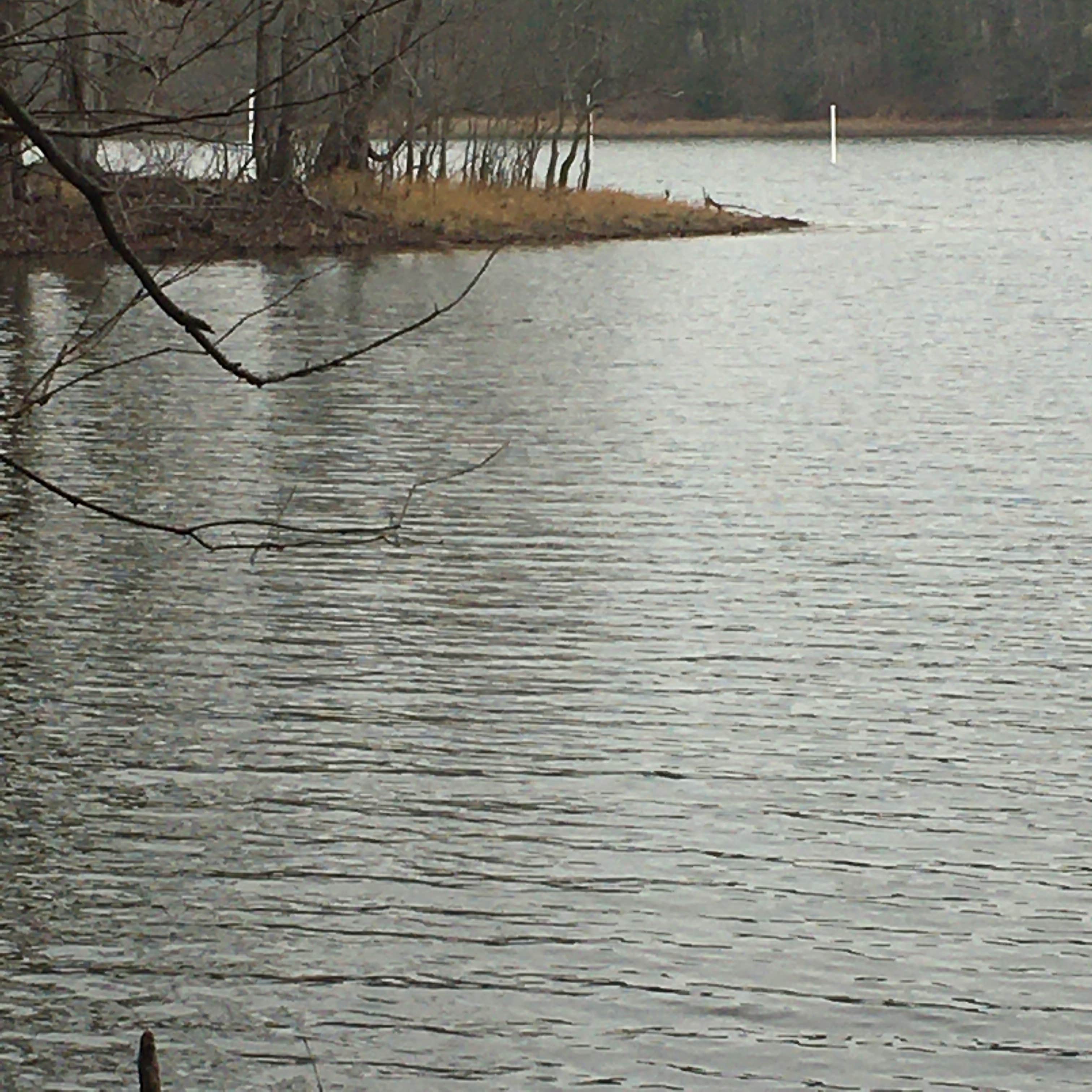 Camper submitted image from North Toledo Bend State Park Campground - 4