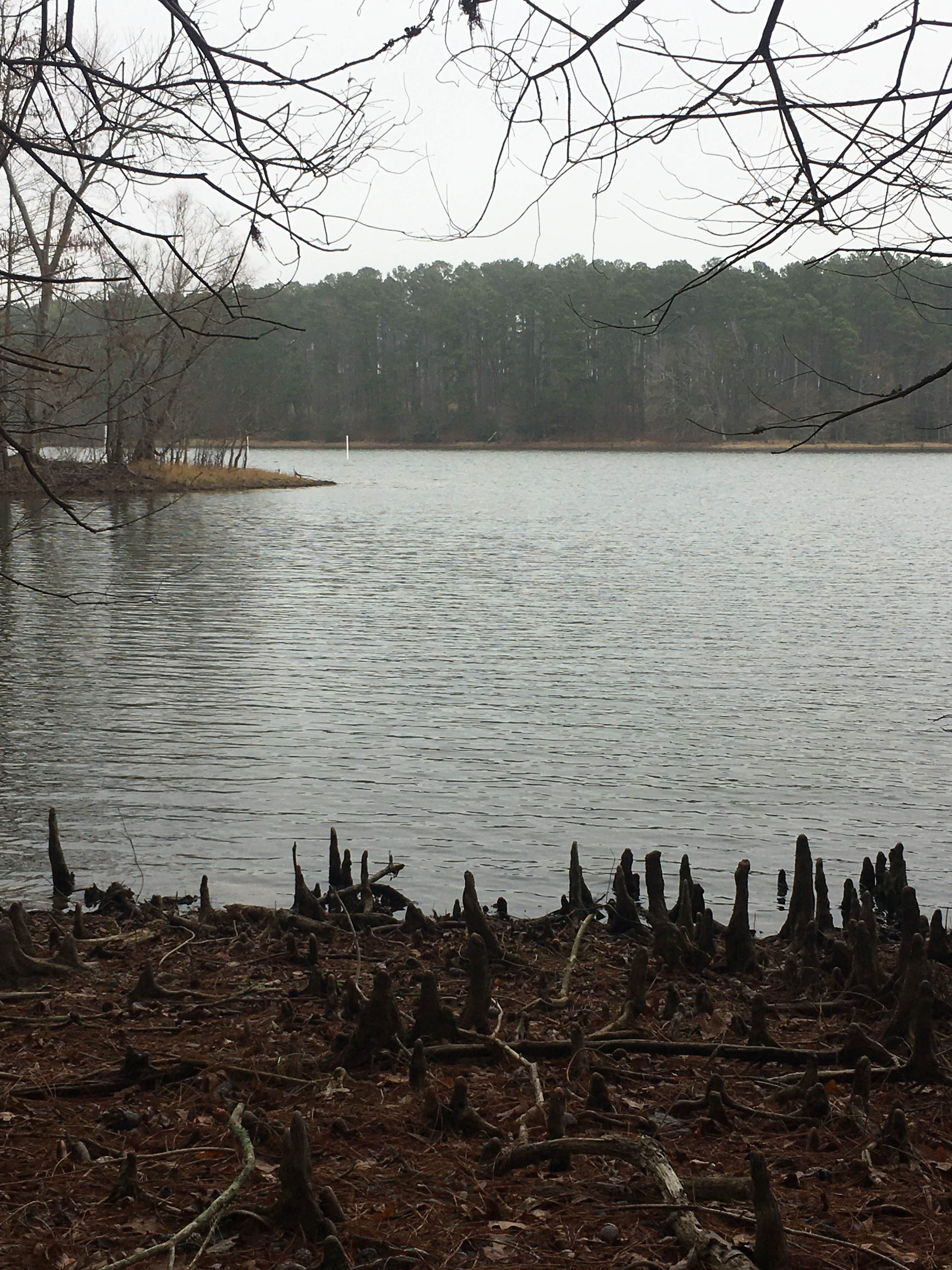 Camper submitted image from North Toledo Bend State Park Campground - 3