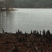 Review photo of North Toledo Bend State Park Campground by Aleia B., February 25, 2022