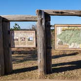 Review photo of Bastrop State Park Campground by Denise V., February 25, 2022