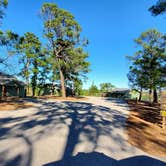 Review photo of Bastrop State Park Campground by Denise V., February 25, 2022