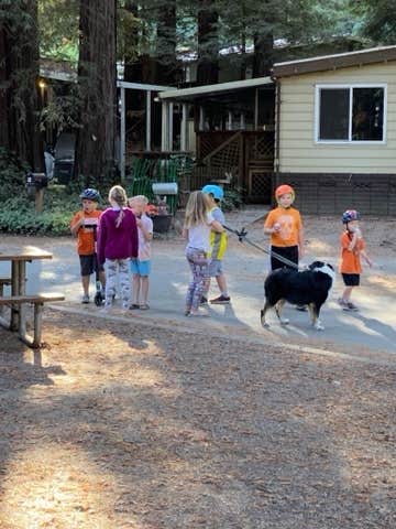 Buddy F.'s photo of camping with pets at Smithwoods RV Park near San Jose, CA