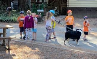 Buddy F.'s photo of camping with pets at Smithwoods RV Park near San Jose, CA