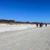 Review photo of Myrtle Beach State Park Campground by Thomas H., February 25, 2022