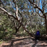 Review photo of Myrtle Beach State Park Campground by Thomas H., February 25, 2022