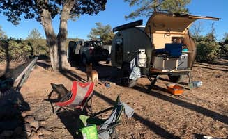 Emma B.'s photo of camping with pets at Buena Vista Trailhead Dispersed near Tonto National Forest