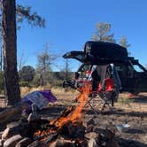 Review photo of Buena Vista Trailhead Dispersed by Emma B., February 20, 2022