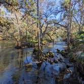 Review photo of Hillsborough River State Park Campground by Laura M., February 25, 2022