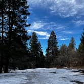 Review photo of Forest Rd 568 Dispersed by Ben , February 25, 2022