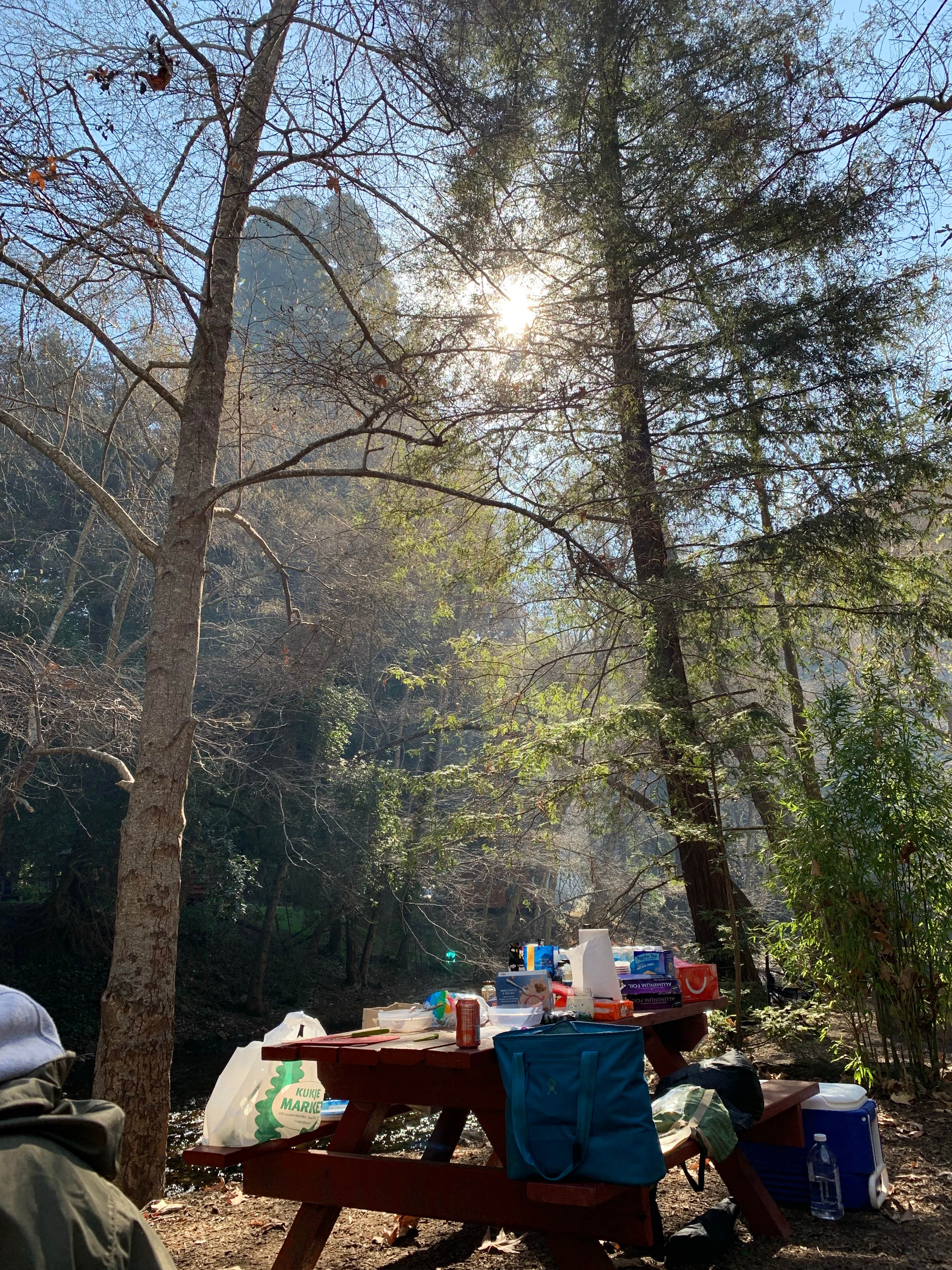 Albee's photo at Big Sur Campground & Cabins near Big Sur, CA