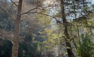 Albee's photo at Big Sur Campground & Cabins near Carmel-by-the-Sea, CA