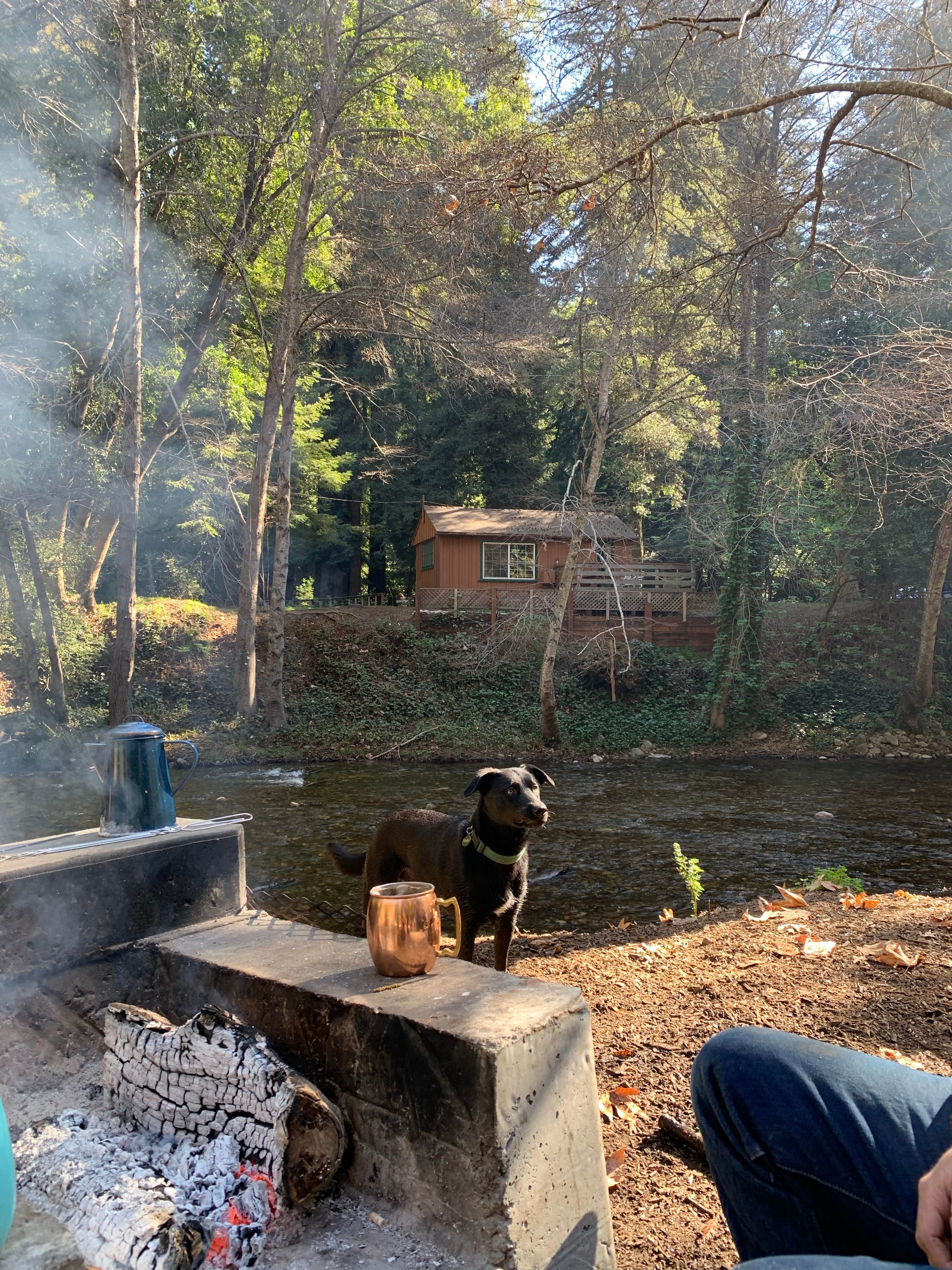 Albee's photo of camping with pets at Big Sur Campground & Cabins near Carmel Valley Village, CA