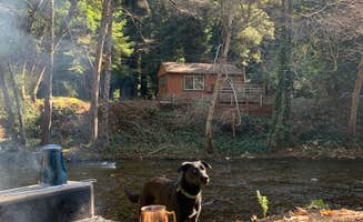Albee's photo of camping with pets at Big Sur Campground & Cabins near Lucia, CA